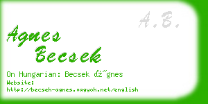 agnes becsek business card